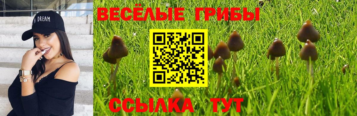 Галлюциногенные грибы Magic Shrooms  Вход с VPN  Кудымкар 
