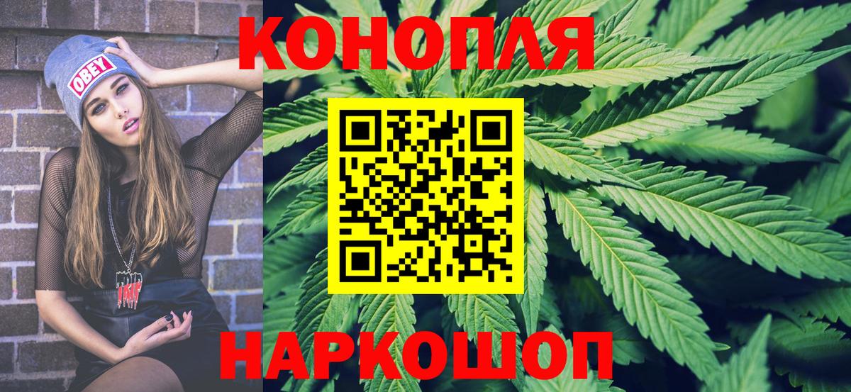 Бошки Шишки сатива Кудымкар
